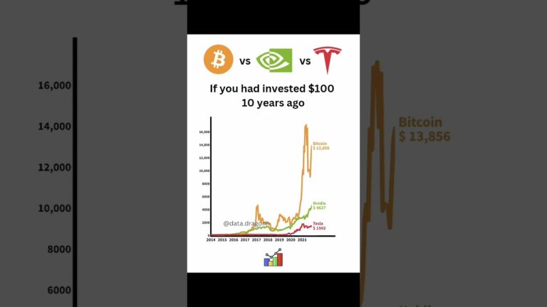 Bitcoin Vs Nvidia vs Tesla if you invested $100 in 10 years ago💸📈 #bitcoin #nvidia #tesla #stocks