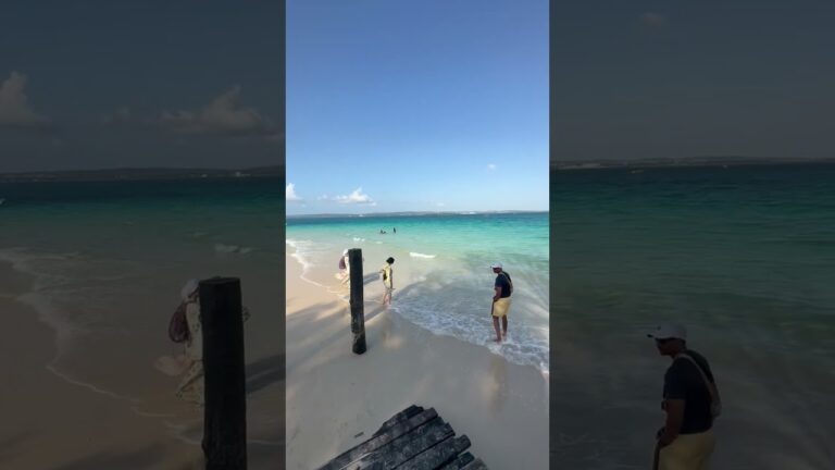 Prison Island | Changuu Island | Zanzibar | White sand beach | Turquoise water
