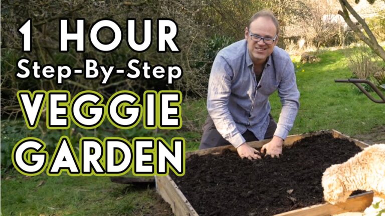 New Vegetable Garden: How To Get Started