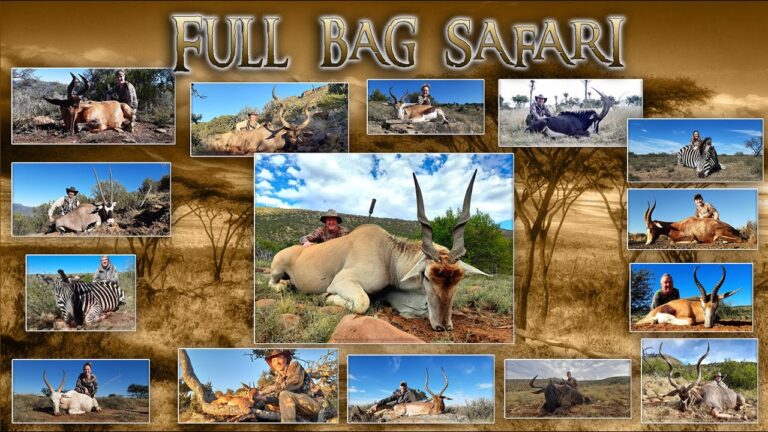 FULL BAG HUNTING SAFARI – 17 Full Hunts