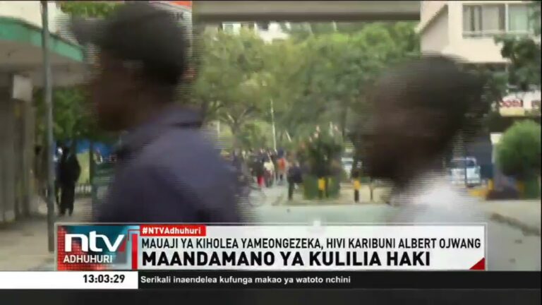 Wakenya Waandamana Jijini Nairobi Kulilia Haki Mushenee