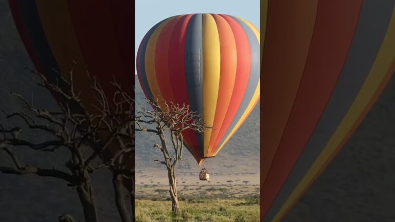 Journey to the Heart of Luxury with ROAR AFRICA's Extraordinary African Safaris!