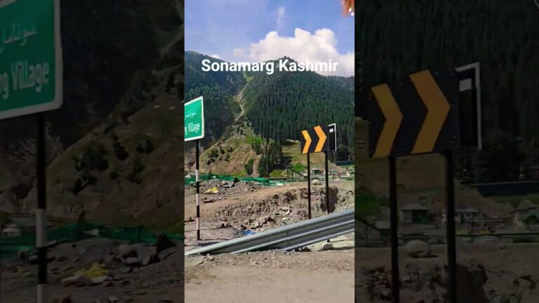 Sonamarg Kashmir #youtubeshorts #shorts #shortvideo #sonamarg #song