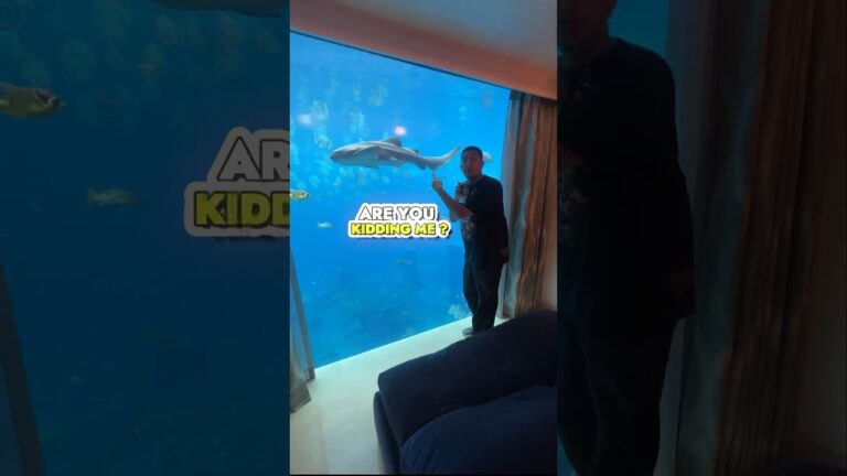 $15,000 Underwater Hotel Room at Atlantis Hotel Dubai 🦈😳