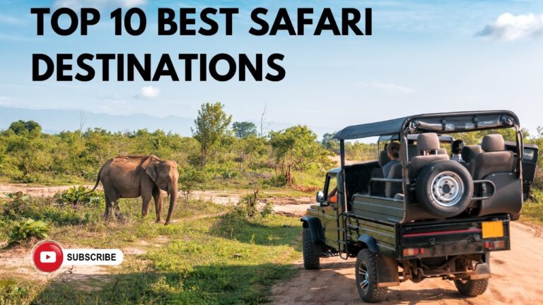 Top 10 Safari Destinations For Tourists