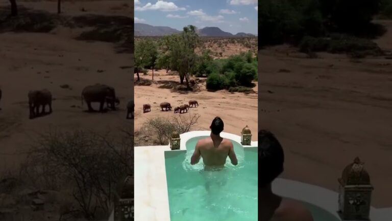 Discover Best Hotels In World #shorts #travel #resort #hotels #safari #africa #luxury #kenya
