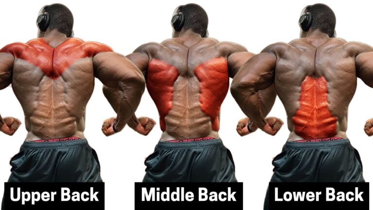 Full Back Workout (Target – Lower Back, Middle Back and Upper Back)