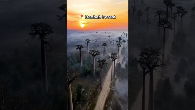 Most Beautiful Places in South Africa 🤩✨ #adventure #nature #traveling #explore