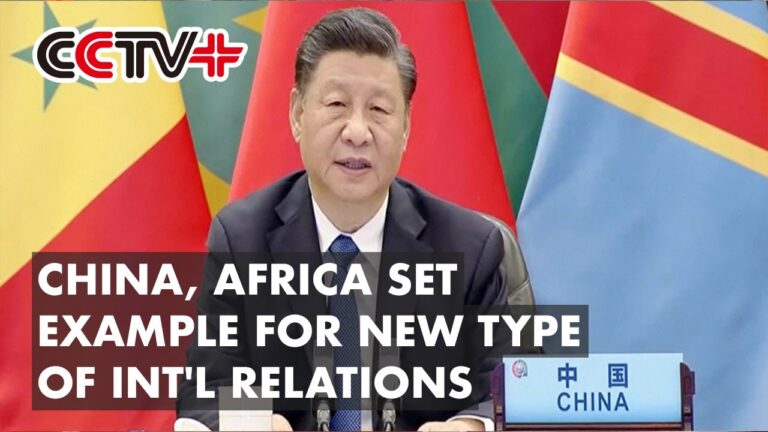 China, Africa Set Example for New Type of Int'l Relations: Xi