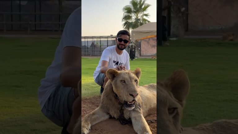 A Safari Adventure Awaits: Unveil the Beauty of Umm Al Quwain’s Private Zoo Today!