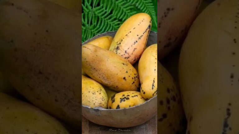 Haitian culture#foodie #haitiancuisine #foodie #haitian#culture #haitian#food #foryou #foodlover