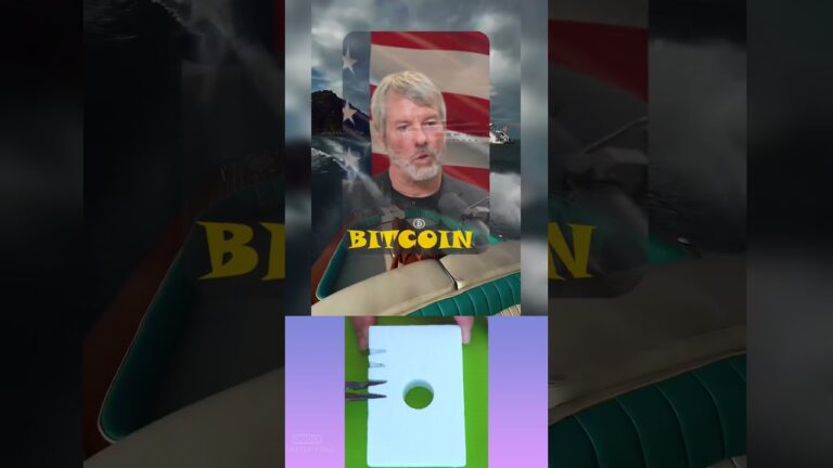 The HODL Chief endorses meme tokens as bears sleep #CryptoIntel #BTCHeat