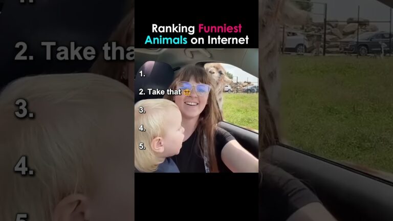 Ranking The Best Funniest Animals on the Internet🤣 #shorts #animals #funny