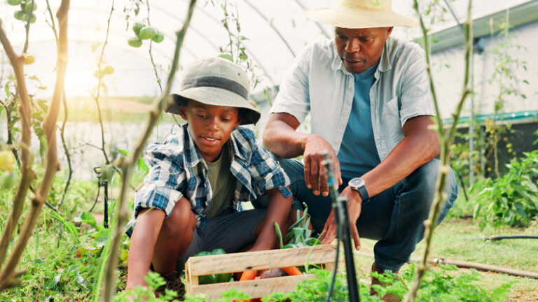 USDA Ends Support For ‘Socially Disadvantaged’ Black Farmers