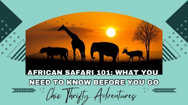 African Safari 101: What You Need to Know Before You Go!