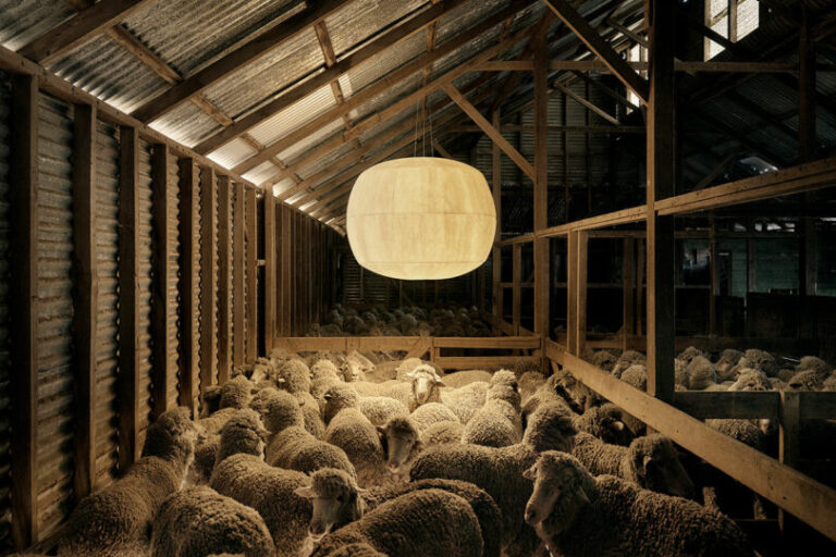 The Big Glow Collection by Studio Truly Truly Celebrates Wool