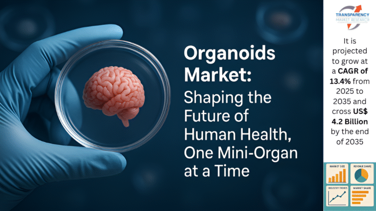 Organoids Market: Shaping the Future of Human Health, One Mini-Organ at a Time