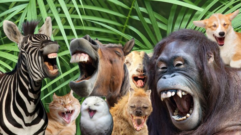 Funny business: Why humor is the unsung hero of real estate survival
