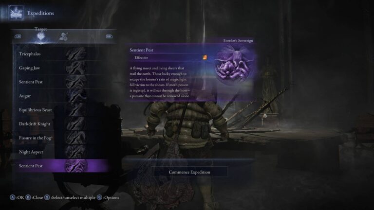 How to beat Everdark Sovereign Sentient Pest in Nightreign