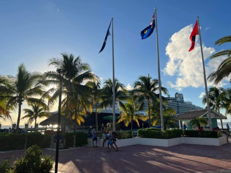 This Caribbean Island Has a Problem (and Elon Musk Is Behind It)