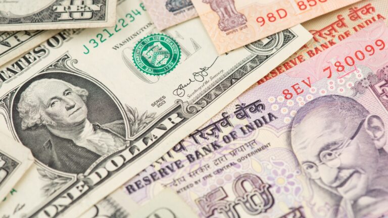 India Hits Back At US, Plans Retaliatory Tariffs at WTO India Hits Back At US, Plans Retaliatory Tariffs at WTO