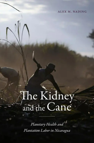 “The Kidney and the Cane” – Repeating Islands