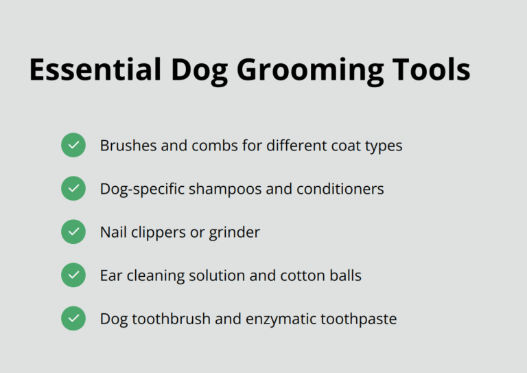Expert Advice for Pet Owners – The Dogington Post