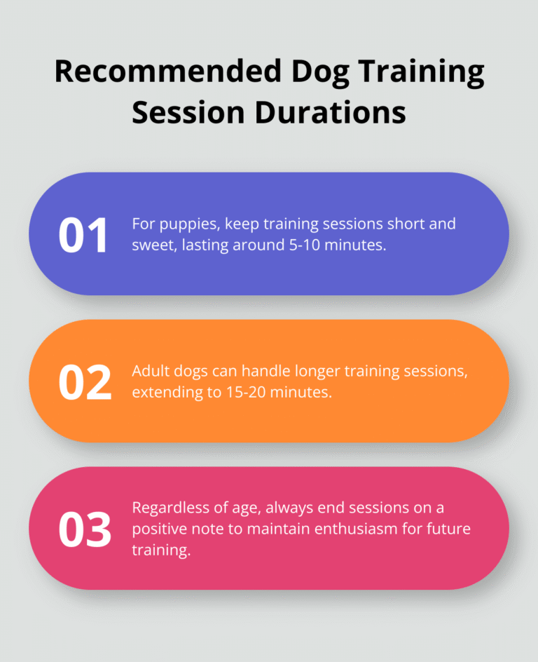 Essential Tips for Beginners – The Dogington Post