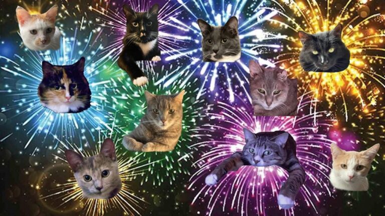 4th of July open thread