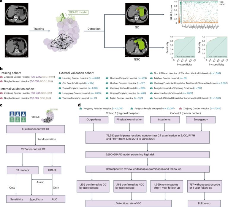 Grape: Alibaba Launches AI To Detect Early Stomach Cancer Via CT Scans