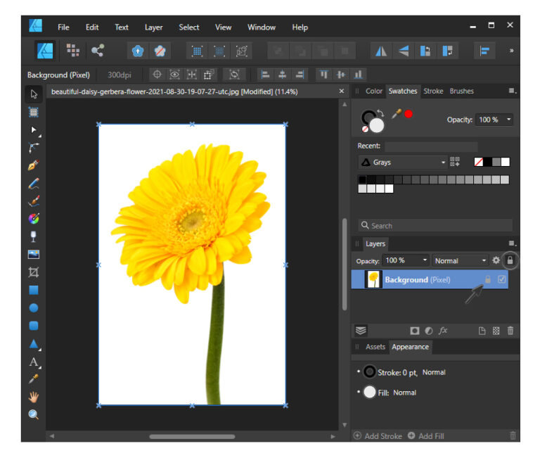 How to remove a background in Affinity Designer