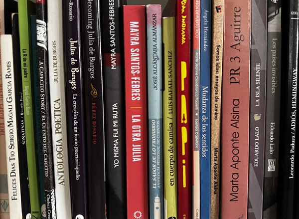 Is it time for the expansion of Caribbean literature? – Repeating Islands