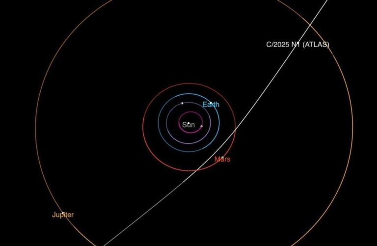 NASA spots a new comet flying in from a distant star system : NPR