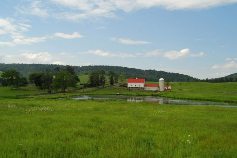 Journey Through 25 Secluded Towns in Northern Virginia From the Blue Ridge’s Shadow to the Potomac’s Edge