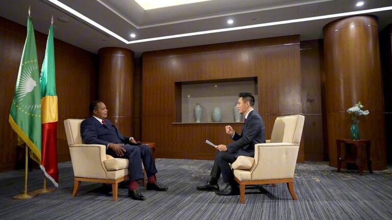 China's BRI will boost trade within Africa, says president of Republic of the Congo