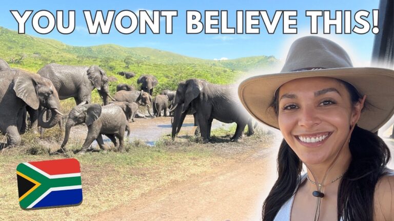 South Africa Safari Adventure | Big 5, Elephants & Wild Dogs in Hluhluwe-iMfolozi & Tembe Park
