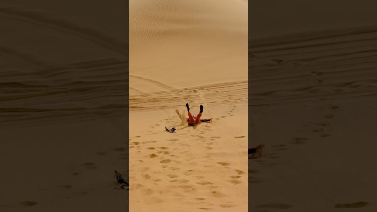 Dubai Desert Safari #desertlife #dubaidesertsafari