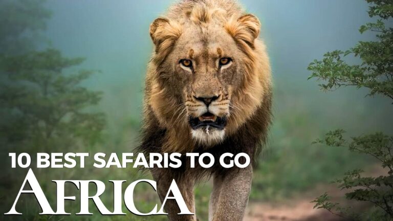 12 Safari Destinations in Africa That Will Leave You Speechless 🐘