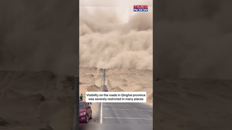 China Witnessed Worst Sandstorm In Two Decades | China News | World News | Times Now | #shorts