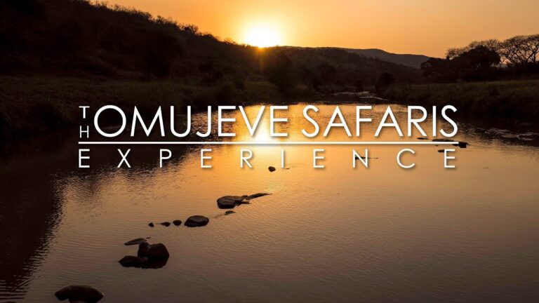 The Omujeve Safaris Experience in Namibia | Epic Safari Adventure with Raven 6 Studios