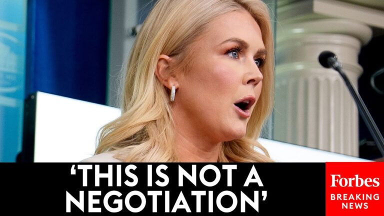BREAKING NEWS: Karoline Leavitt Defends Trump Tariffs Amidst Plummeting Stock Market