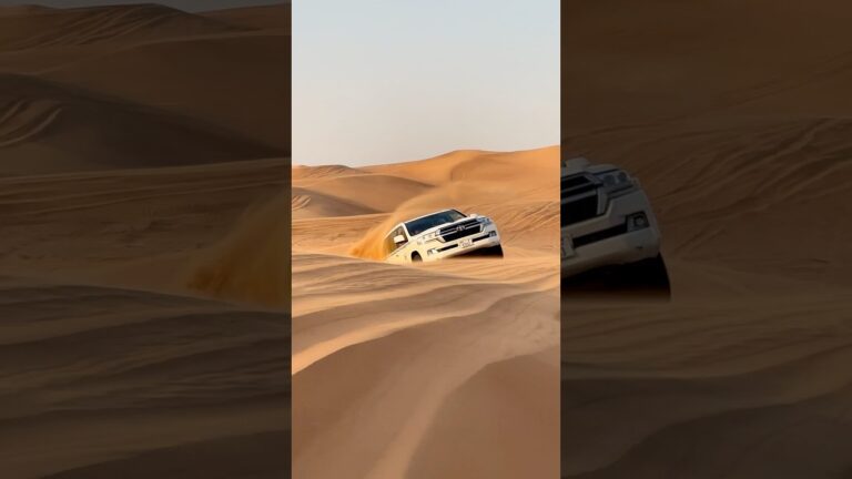 Dubai Desert Safari Tour 🐪🌴😍 #dubai #desert #dubaisafari #safari #safaritour #desertsafari