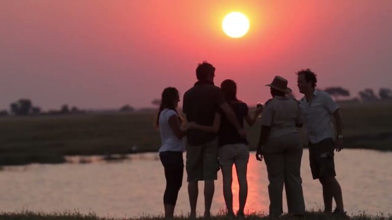 WildTracks Adventures Best Moments – Best of African Safaris