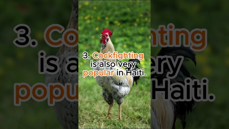 5 Amazing Facts About Haiti#viralshort #youtubeshorts