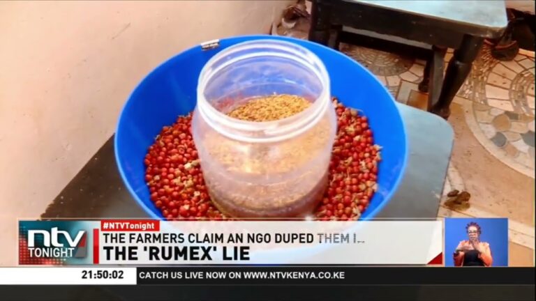 Mount Kenya farmers count losses after NGO lures them into growing unsellable crops Mushenee
