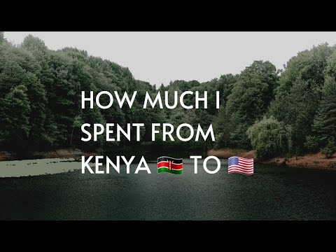 How much I spent to move from Kenya 🇰🇪 to 🇺🇸 USA. Mushenee