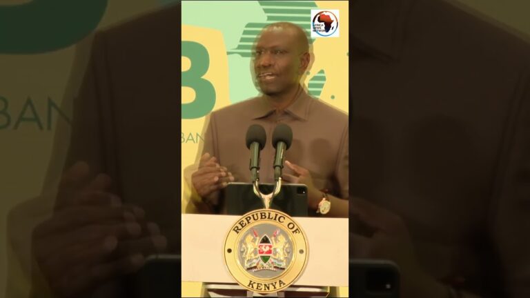 African Countries Must Work as One: Kenya President, William Ruto Mushenee