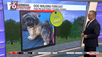 Dog walking forecast 7.31.25 | Weather