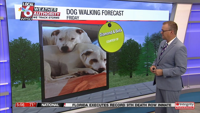 Dog walking forecast 8.1.25 | Weather