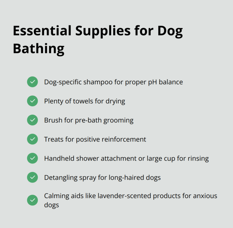 How to Give Your Dog a Stress-Free Bath – The Dogington Post